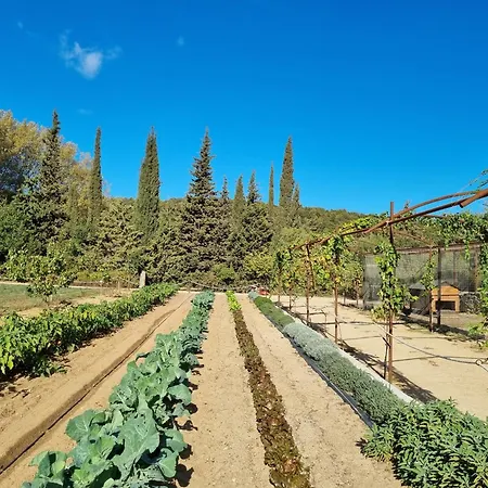 Ginepro Capelvenere Доргали